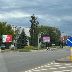 Naujoji g. / Putinų g. ( nuo Kauno pusės)