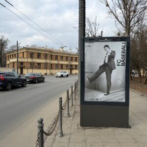 Vytauto pr. / Karo ligoninės g. (link Autobusų stoties)
