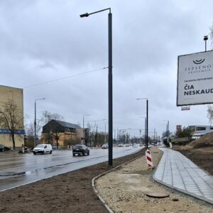 Kareivių g. (nuo Turniškių link centro)