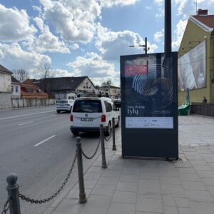 Vilniaus g. / Birštono g. sankirta, prie požeminės perėjos (link Karaliaus MIndaugo g. )