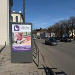 Vilniaus g. / Birštono g. sankirta, prie požeminės perėjos (link Įv. Gertrūdos g. )
